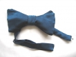 blaue Fliege und Schleife